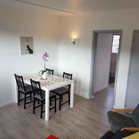 Rénové Lumineux Proche Centre Appartement